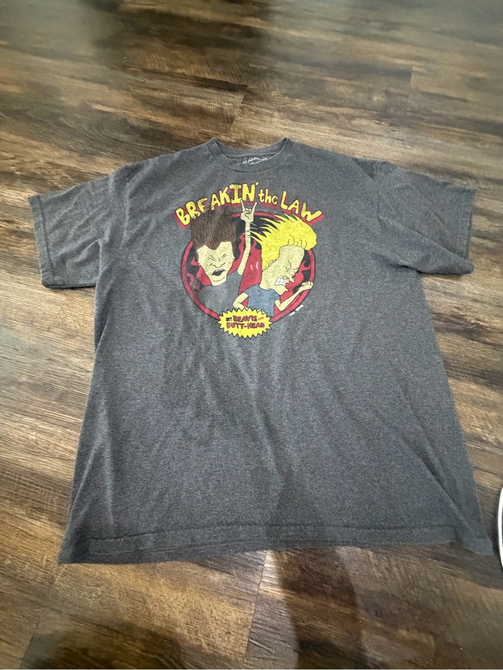 Breakin' the Law Graphic Beavis and Butt-Head MTV Vintage